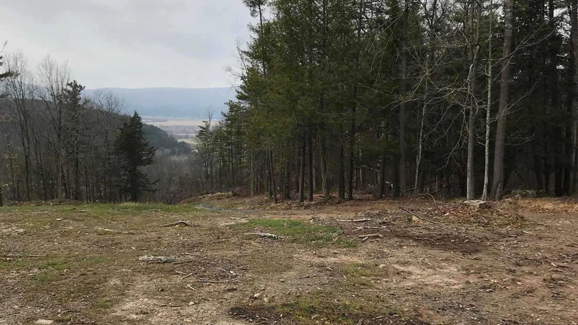 Property at 0 Huntersland Road, Middleburgh, NY 12122 8