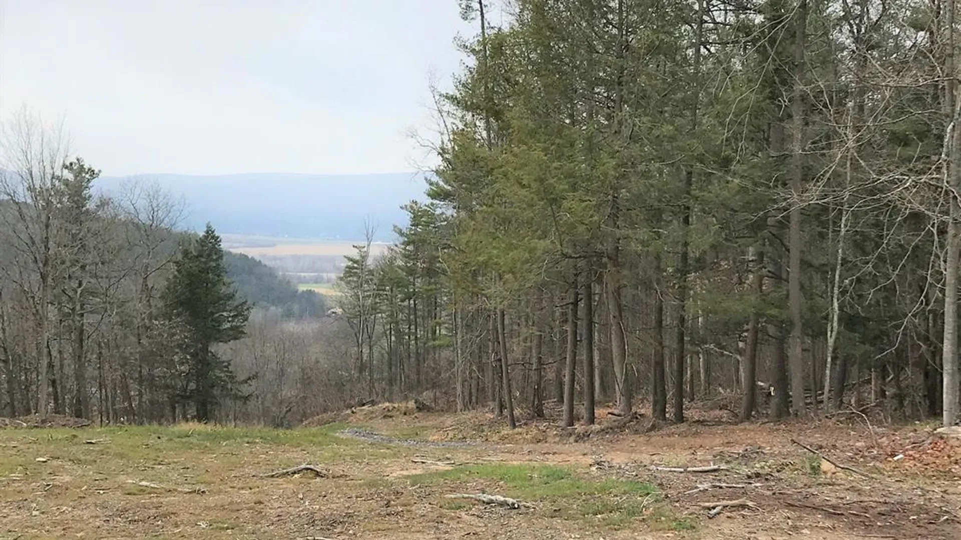 Property at 0 Huntersland Road, Middleburgh, NY 12122 9