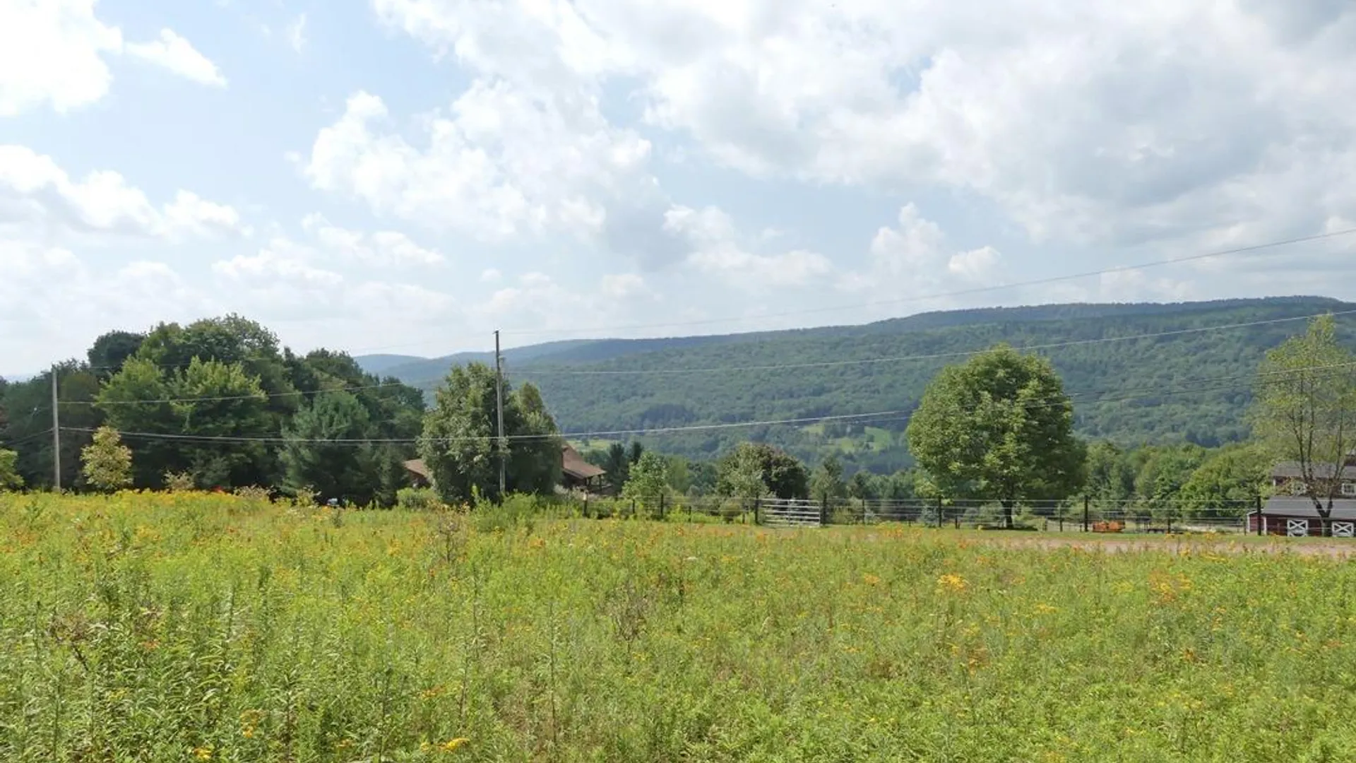 Property at 492 Highland Road, Andes, NY 13731 2