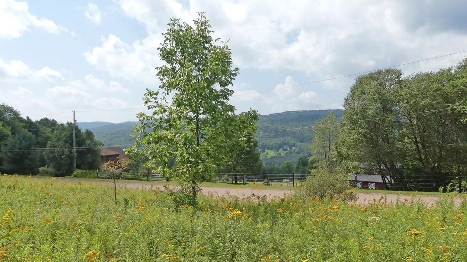 Property at 492 Highland Road, Andes, NY 13731 3