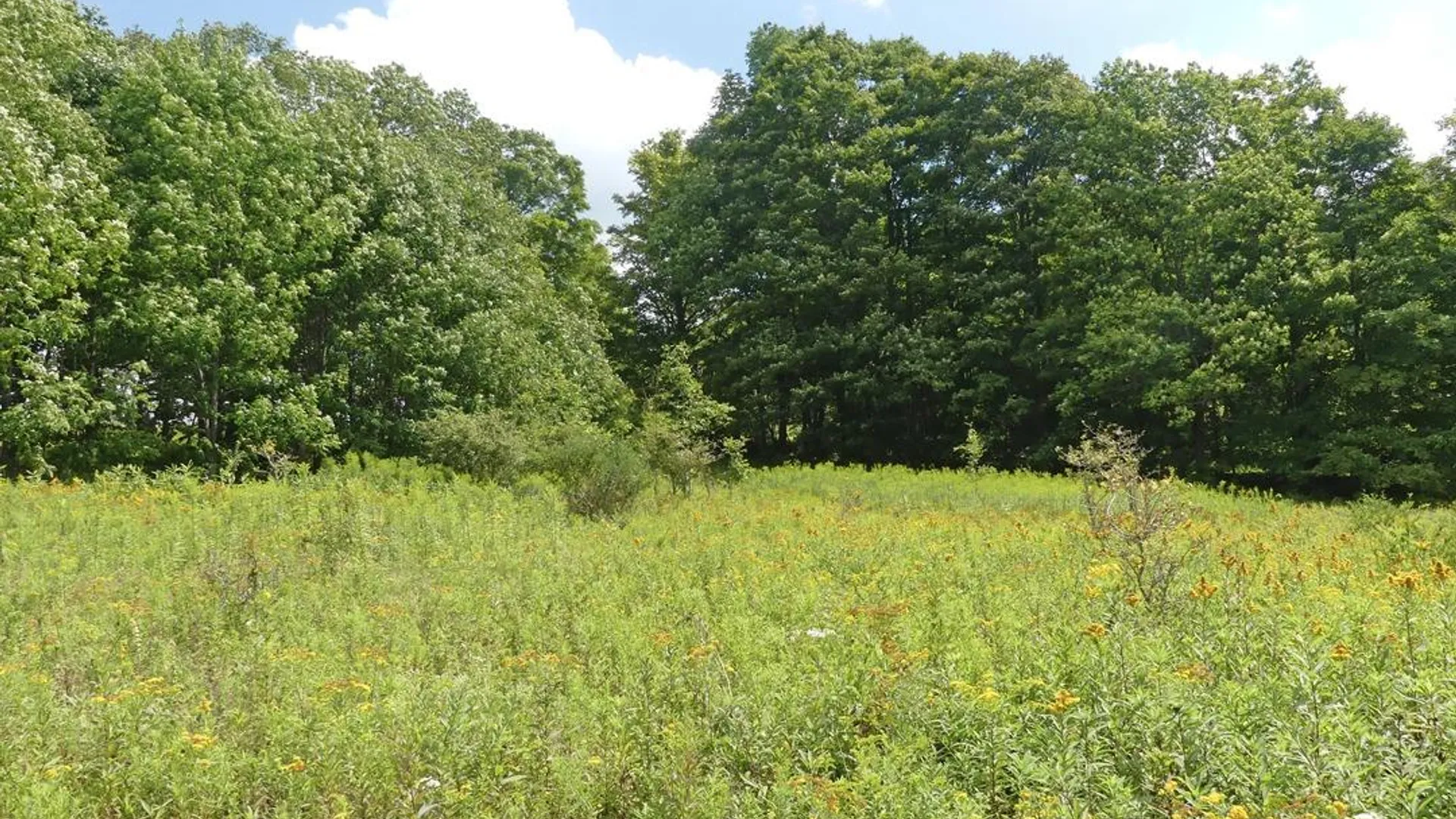 Property at 492 Highland Road, Andes, NY 13731 4