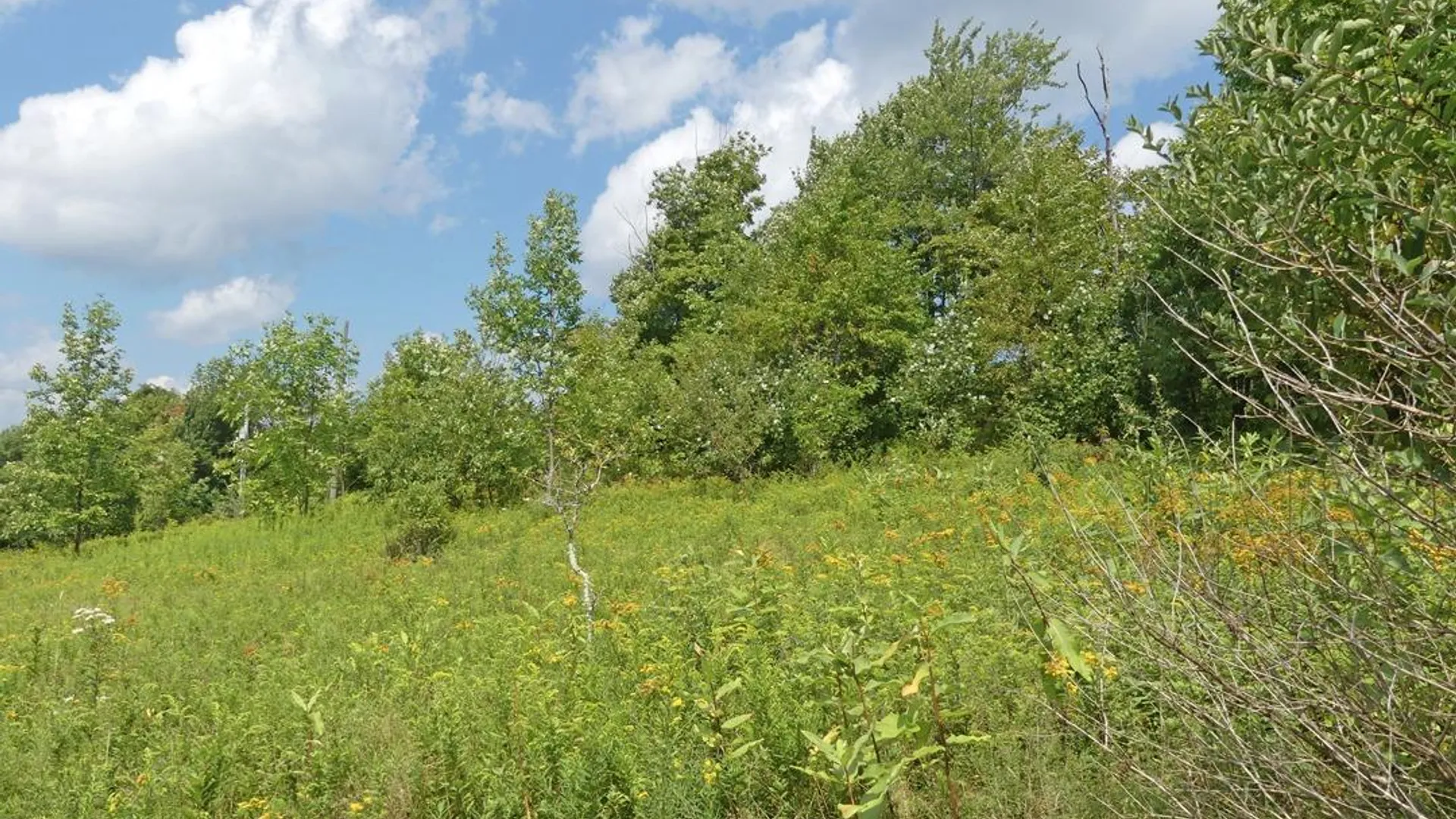 Property at 492 Highland Road, Andes, NY 13731 5