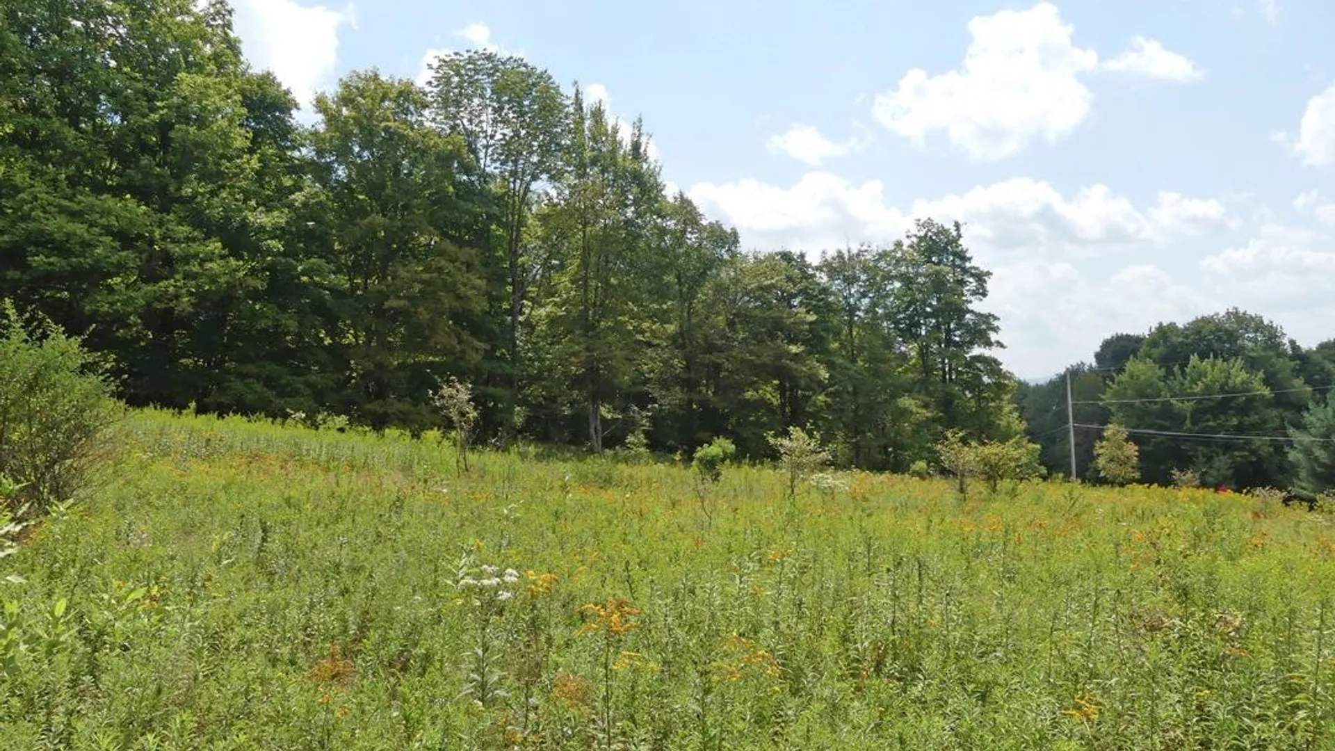 Property at 492 Highland Road, Andes, NY 13731 6