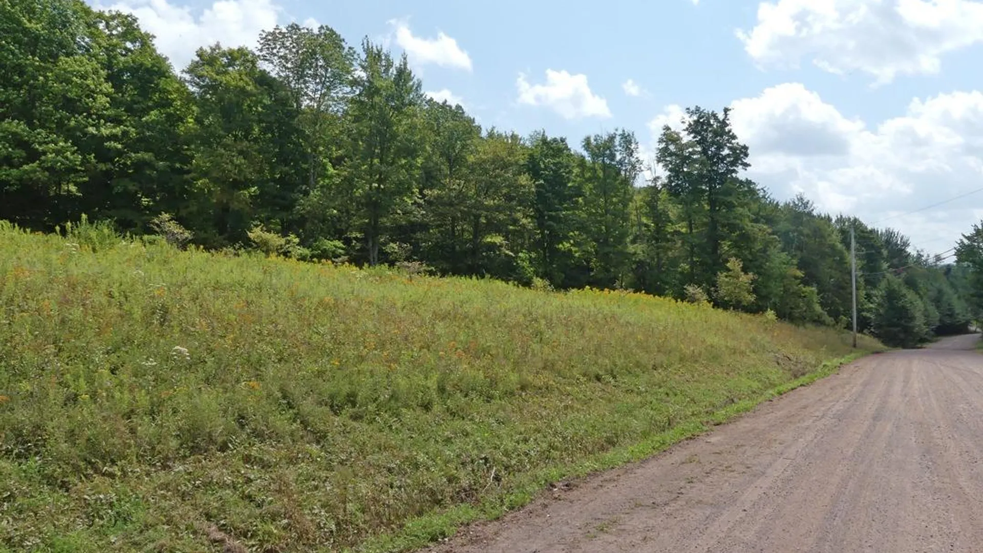 Property at 492 Highland Road, Andes, NY 13731 7