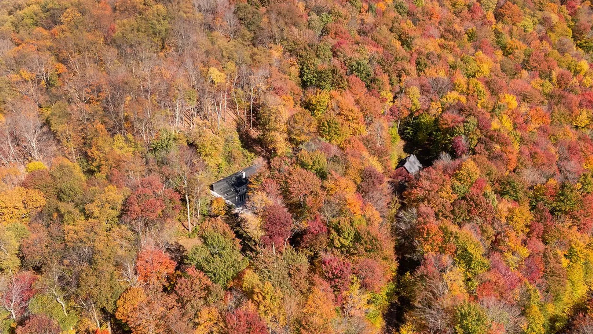 Property at 382 Catskill Drive, Bovina, NY 13740 45