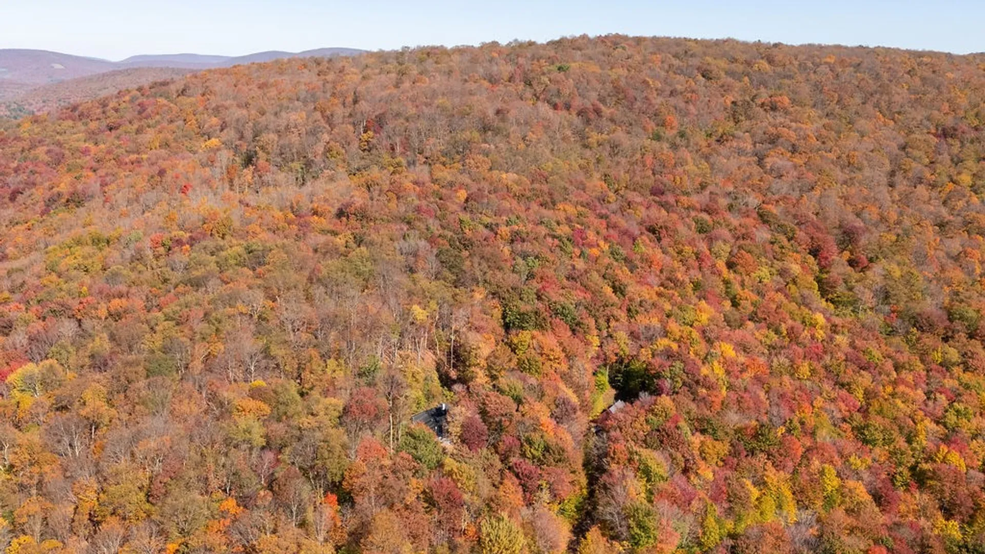 Property at 382 Catskill Drive, Bovina, NY 13740 46