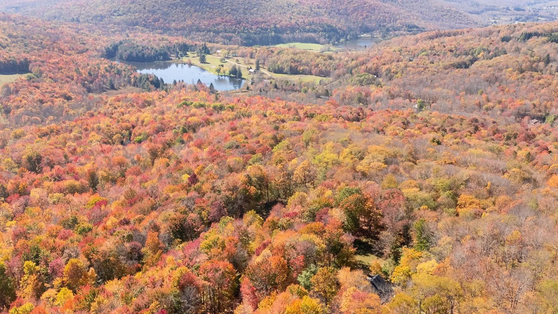 Property at 382 Catskill Drive, Bovina, NY 13740 47