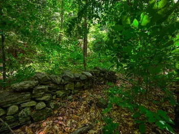 Property at 0 McCulley Hts, Davenport, NY 13750