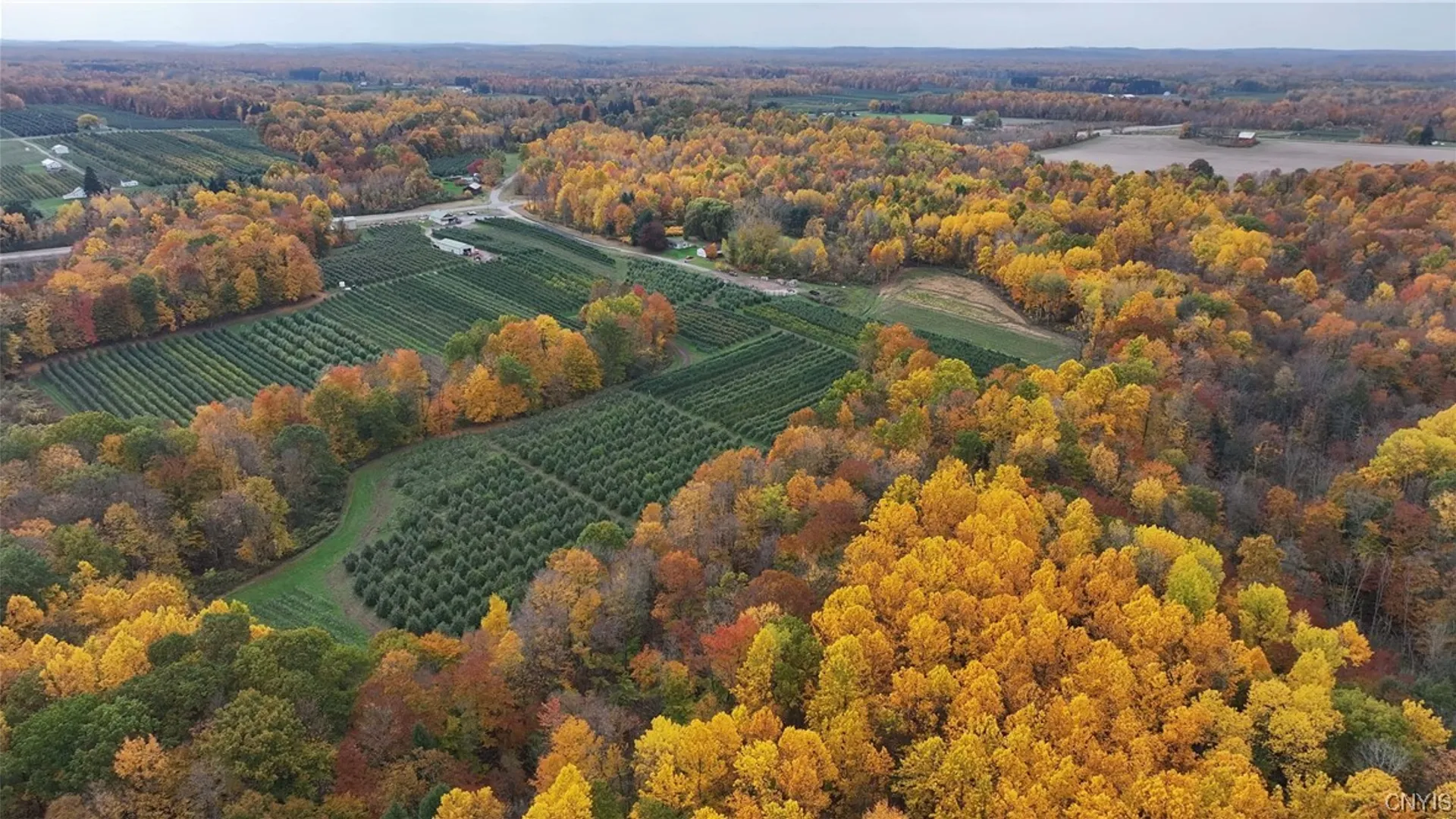 Property at 5630 Norris & Rt 104 Road, Huron, NY 14590 13