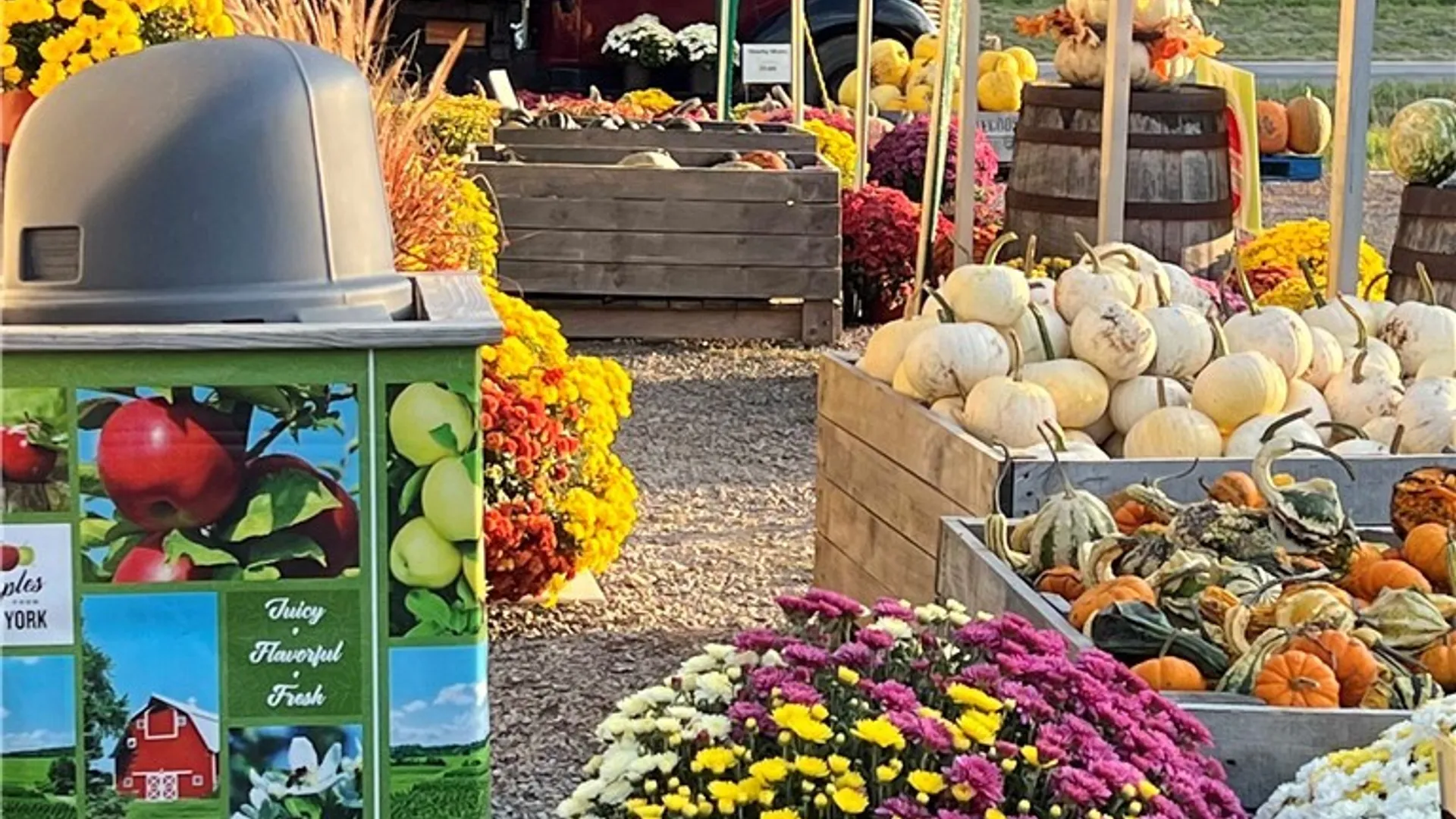 Property at 5630 Norris & Rt 104 Road, Huron, NY 14590 16