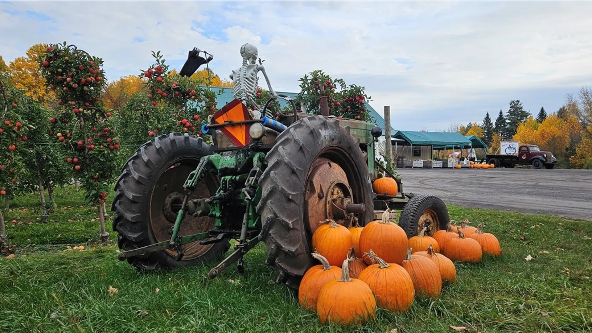 Property at 5630 Norris & Rt 104 Road, Huron, NY 14590 18