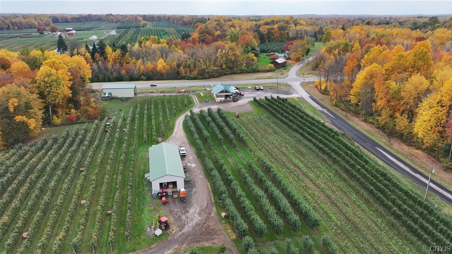 Property at 5630 Norris & Rt 104 Road, Huron, NY 14590 24