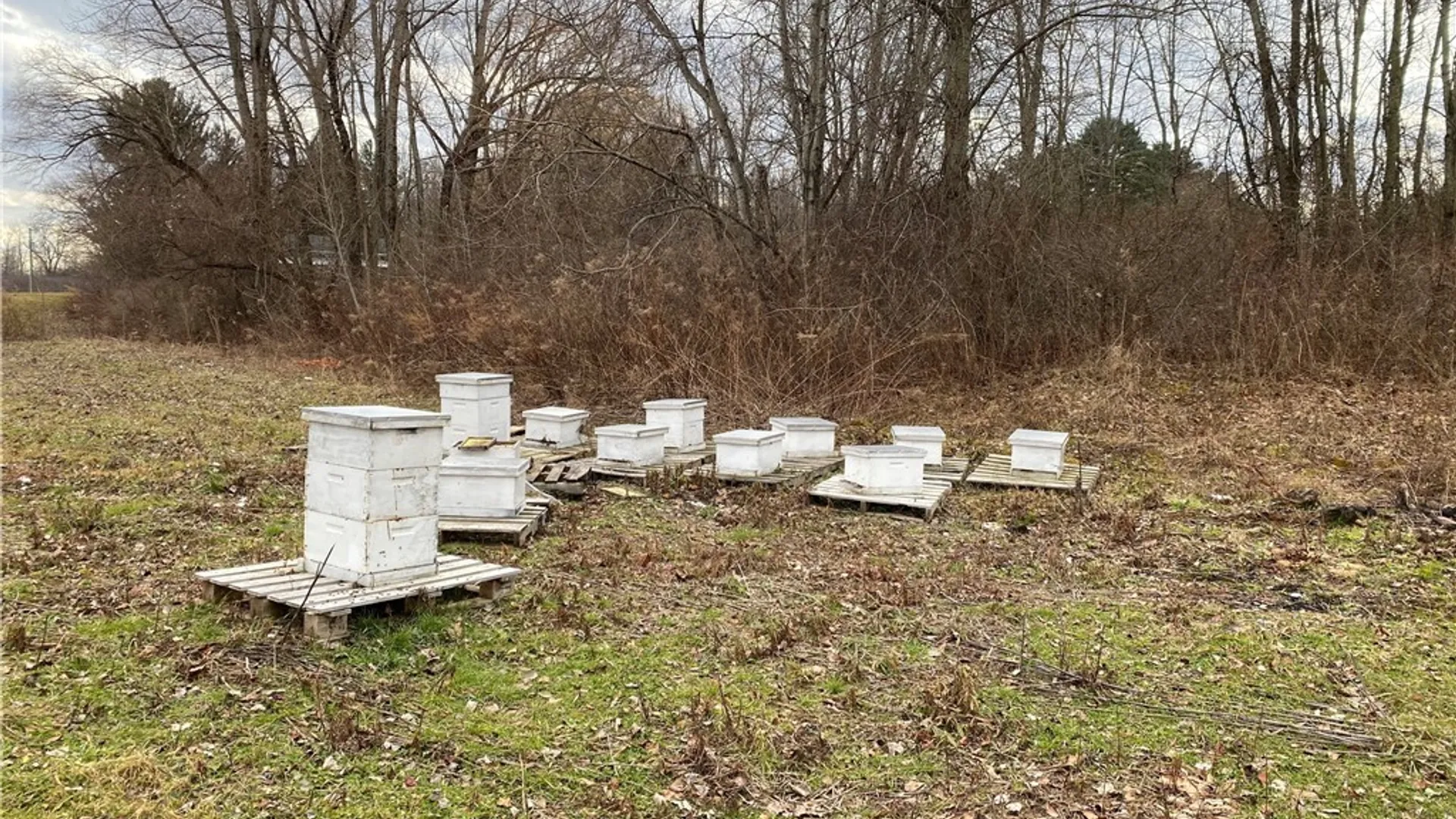 Property at 5630 Norris & Rt 104 Road, Huron, NY 14590 29