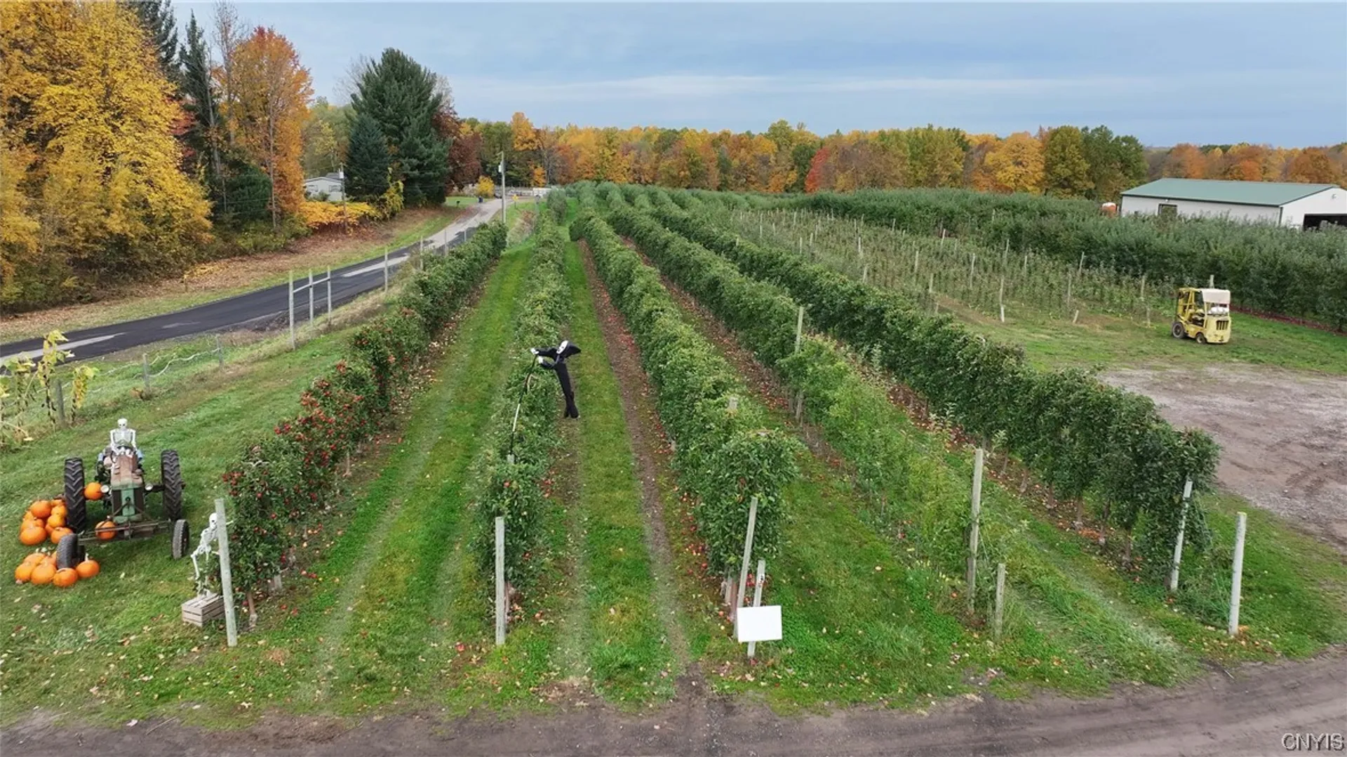 Property at 5630 Norris & Rt 104 Road, Huron, NY 14590 4