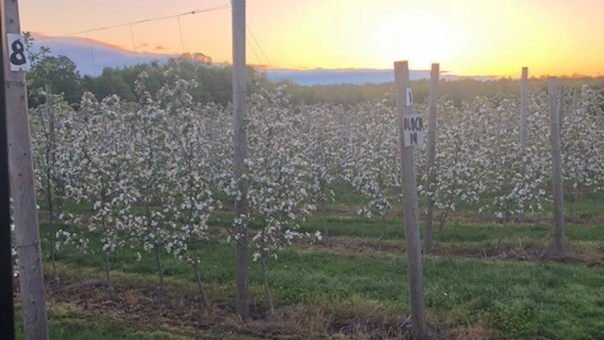 Property at 5630 Norris & Rt 104 Road, Huron, NY 14590 6