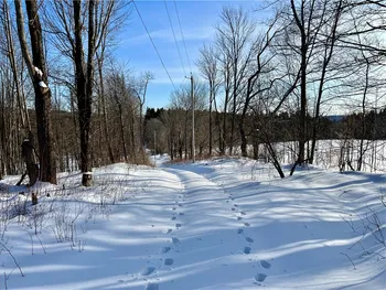 Property at 384 Algerine Hill Road, Worcester, NY 12197