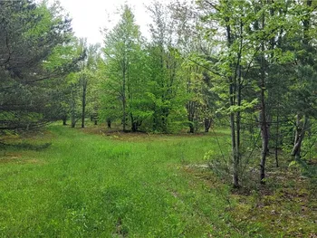 Property at 0 Thayer Road, Erin, NY 14838