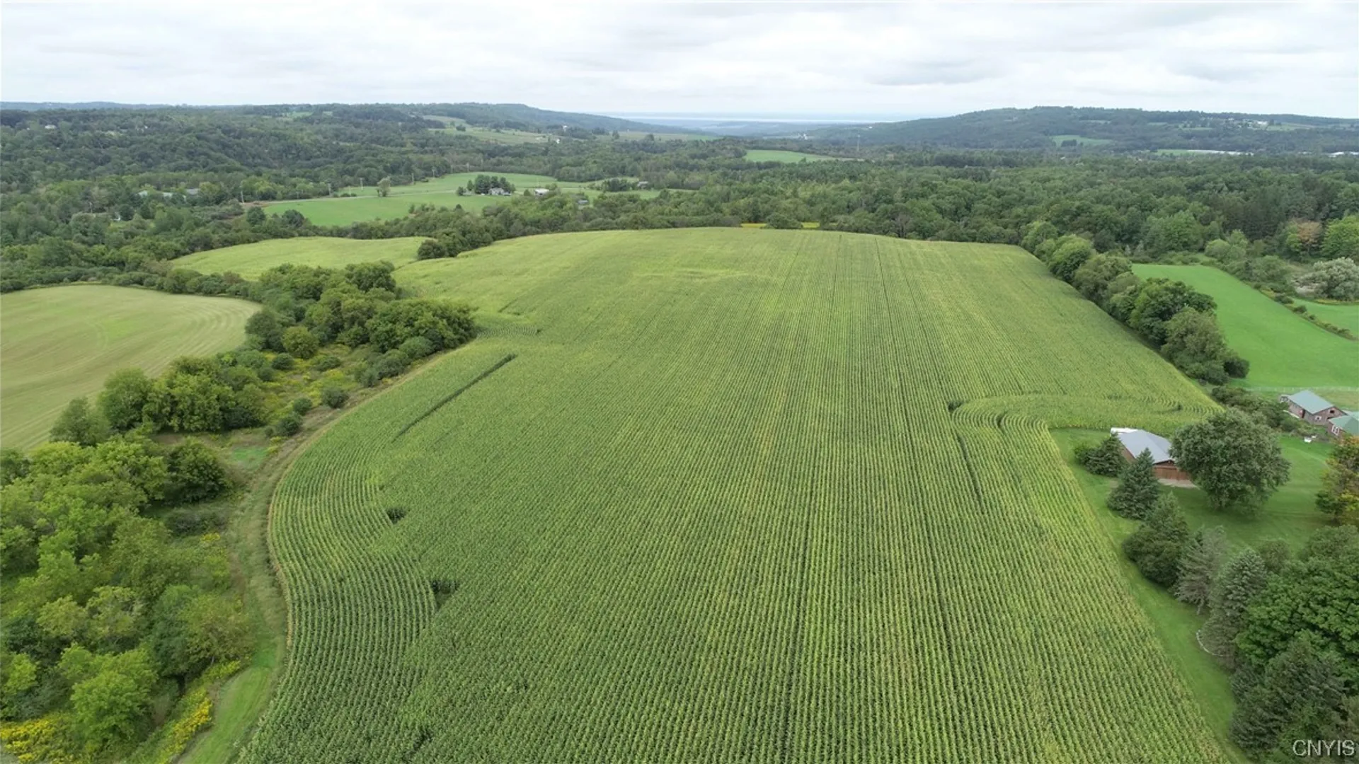 Property at 2349 Fenner Road, Cazenovia, NY 13035 3