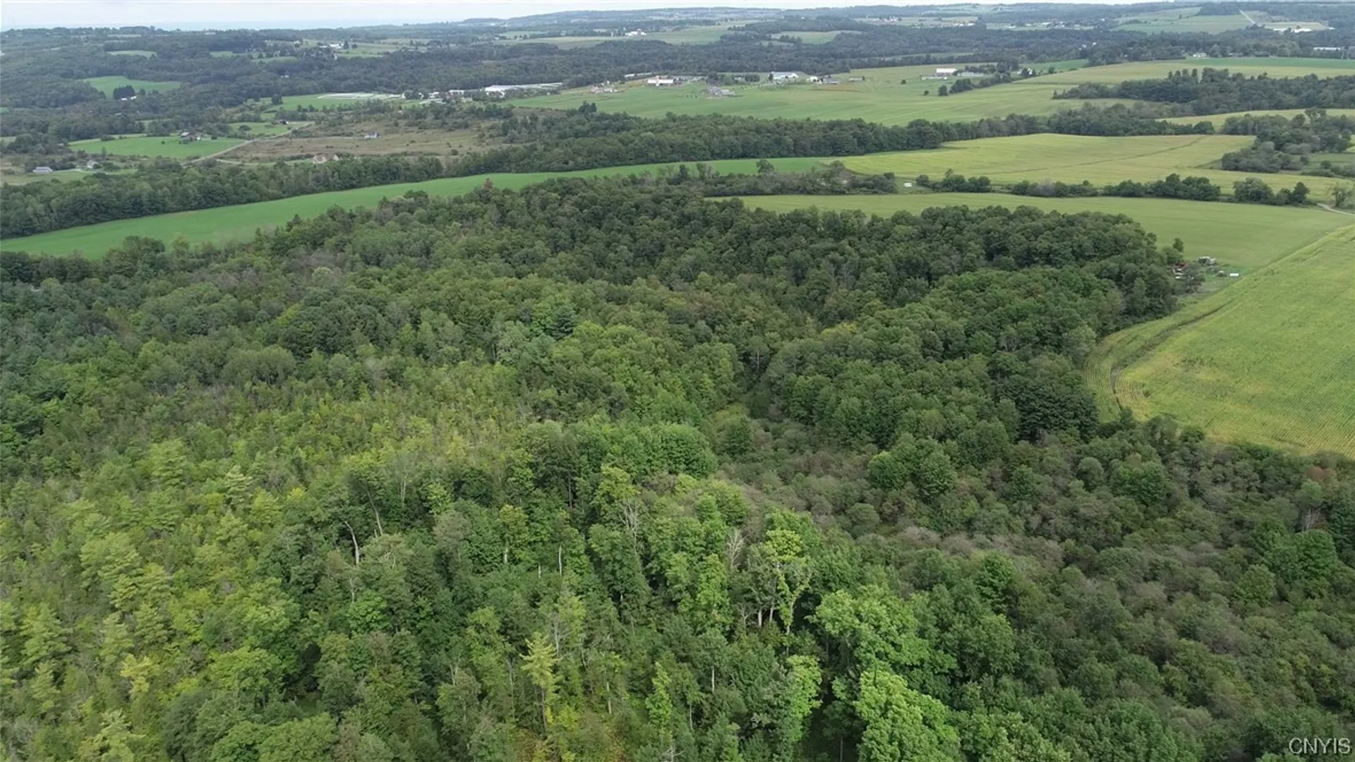 Property at 2349 Fenner Road, Cazenovia, NY 13035 7