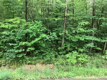 Property at 101 Butterfield Road, Lisle, NY 13835