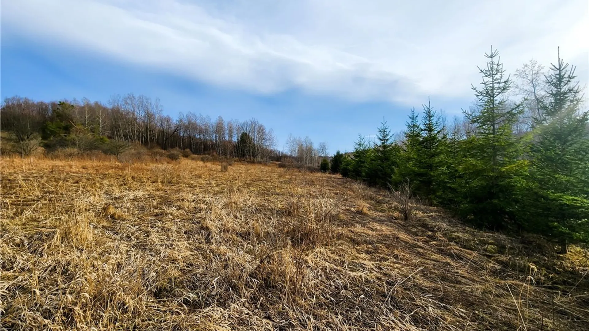 Property at 0 Quigg Hollow Road, Andover, NY 14806 11