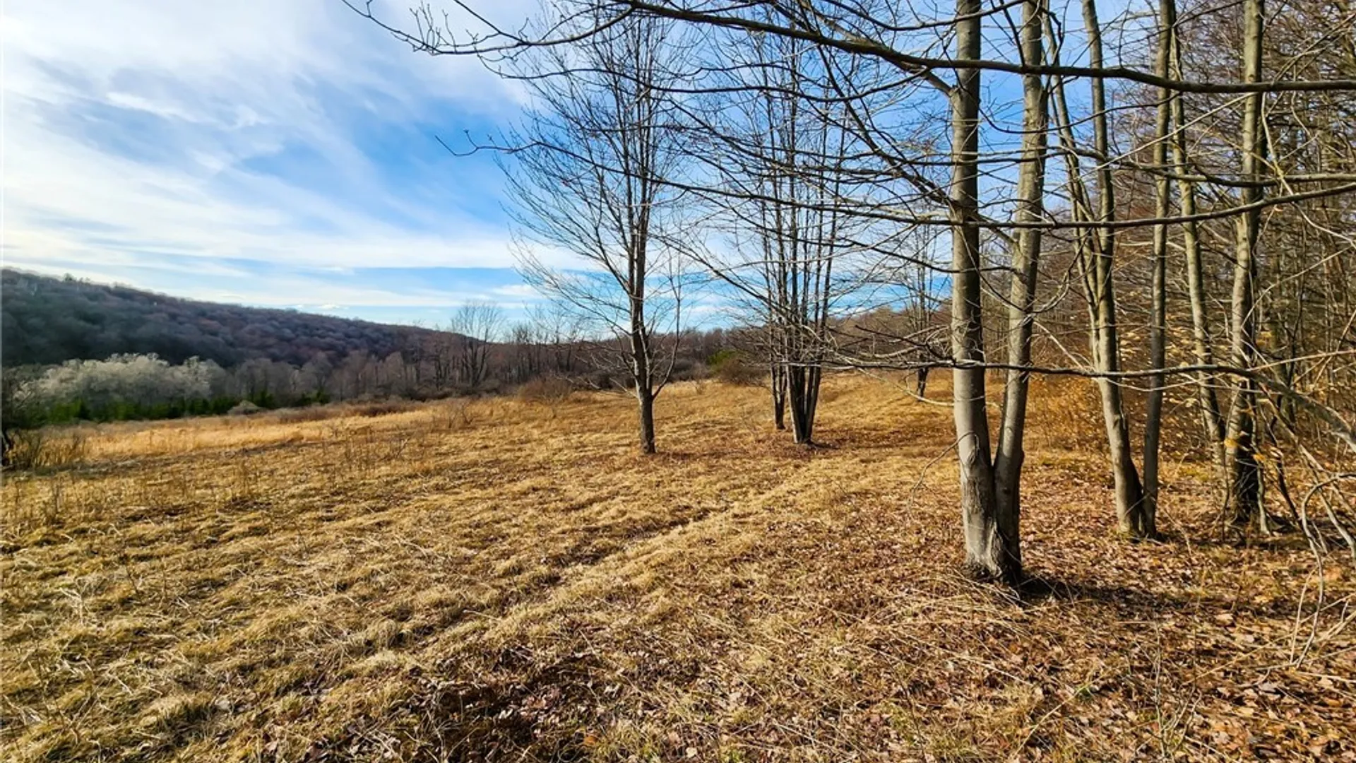 Property at 0 Quigg Hollow Road, Andover, NY 14806 15