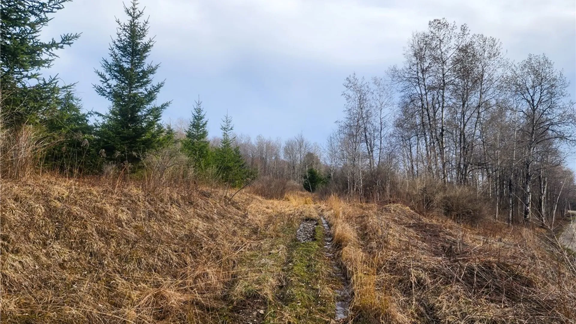 Property at 0 Quigg Hollow Road, Andover, NY 14806 16