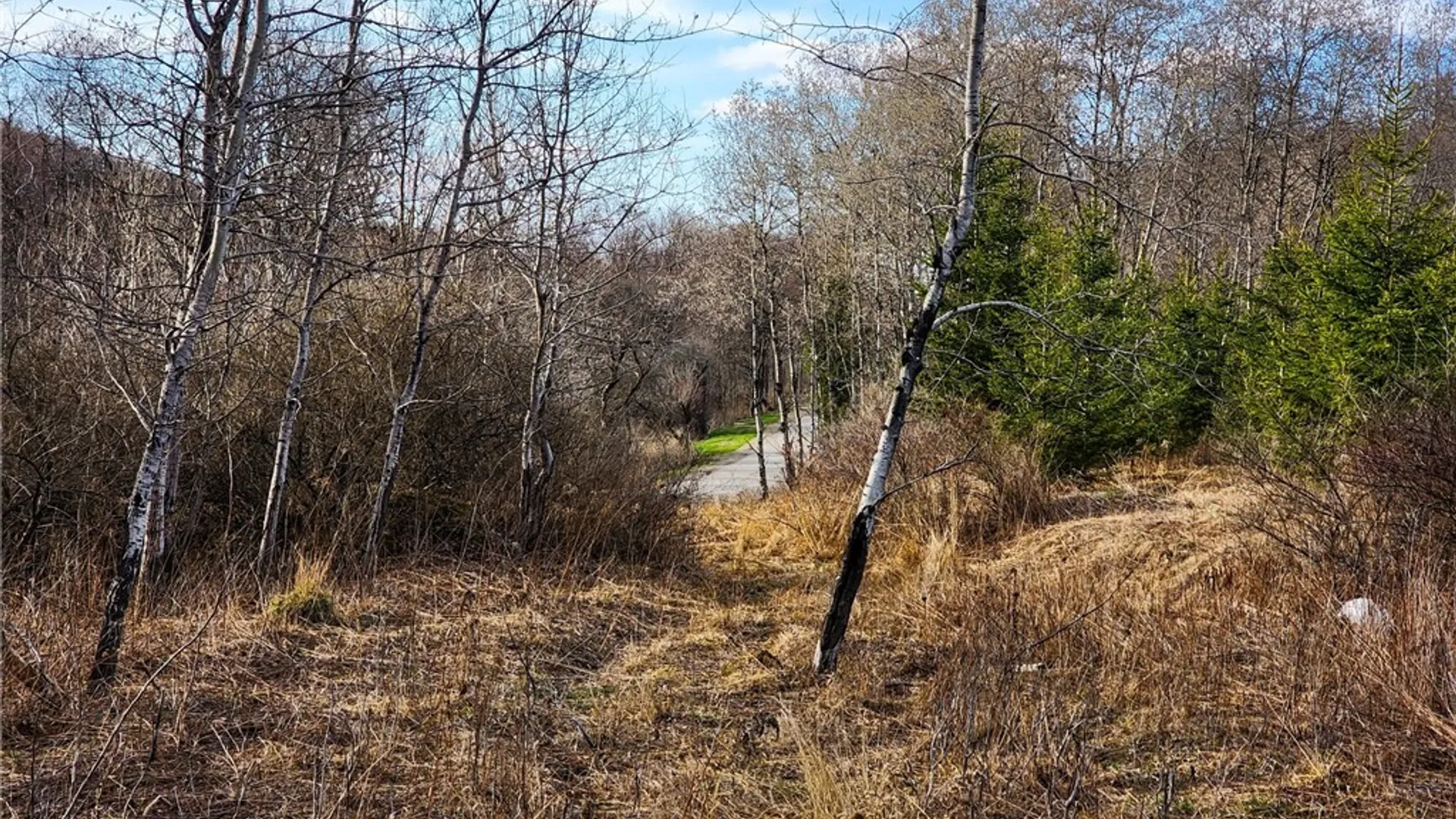 Property at 0 Quigg Hollow Road, Andover, NY 14806 17