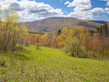 Property at Lot 6.1 Grant Morse Road, Roxbury, NY 12421