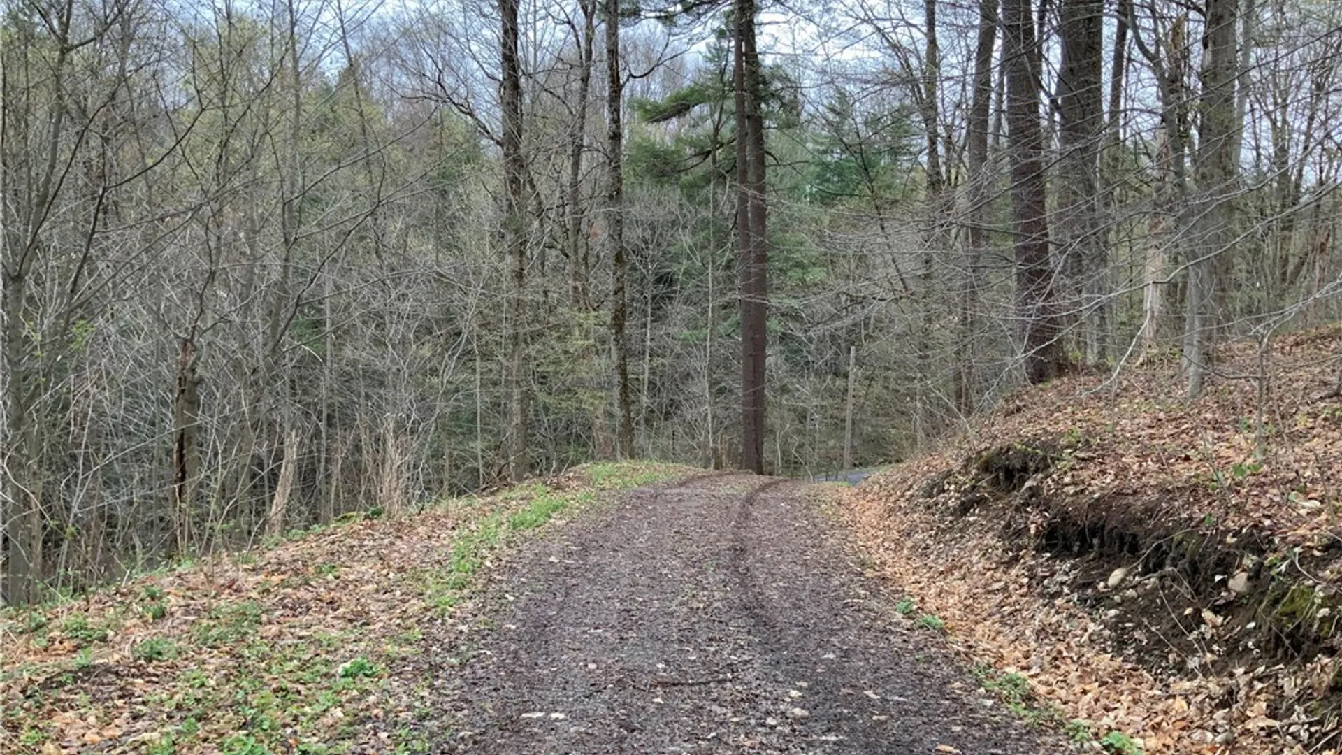 Property at 00 Burrell Road, Ephratah, NY 13452 31