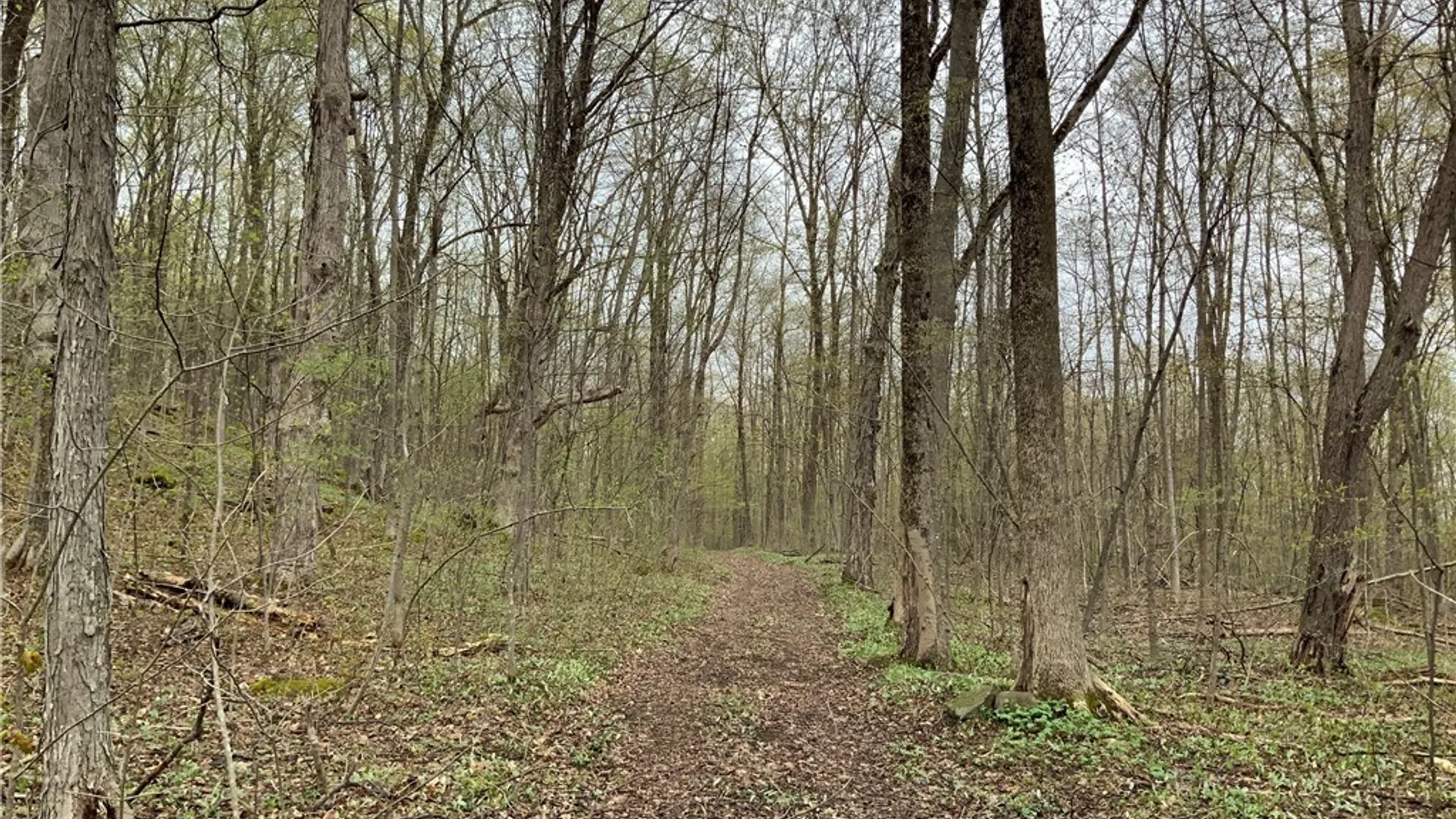 Property at 00 Burrell Road, Ephratah, NY 13452 32