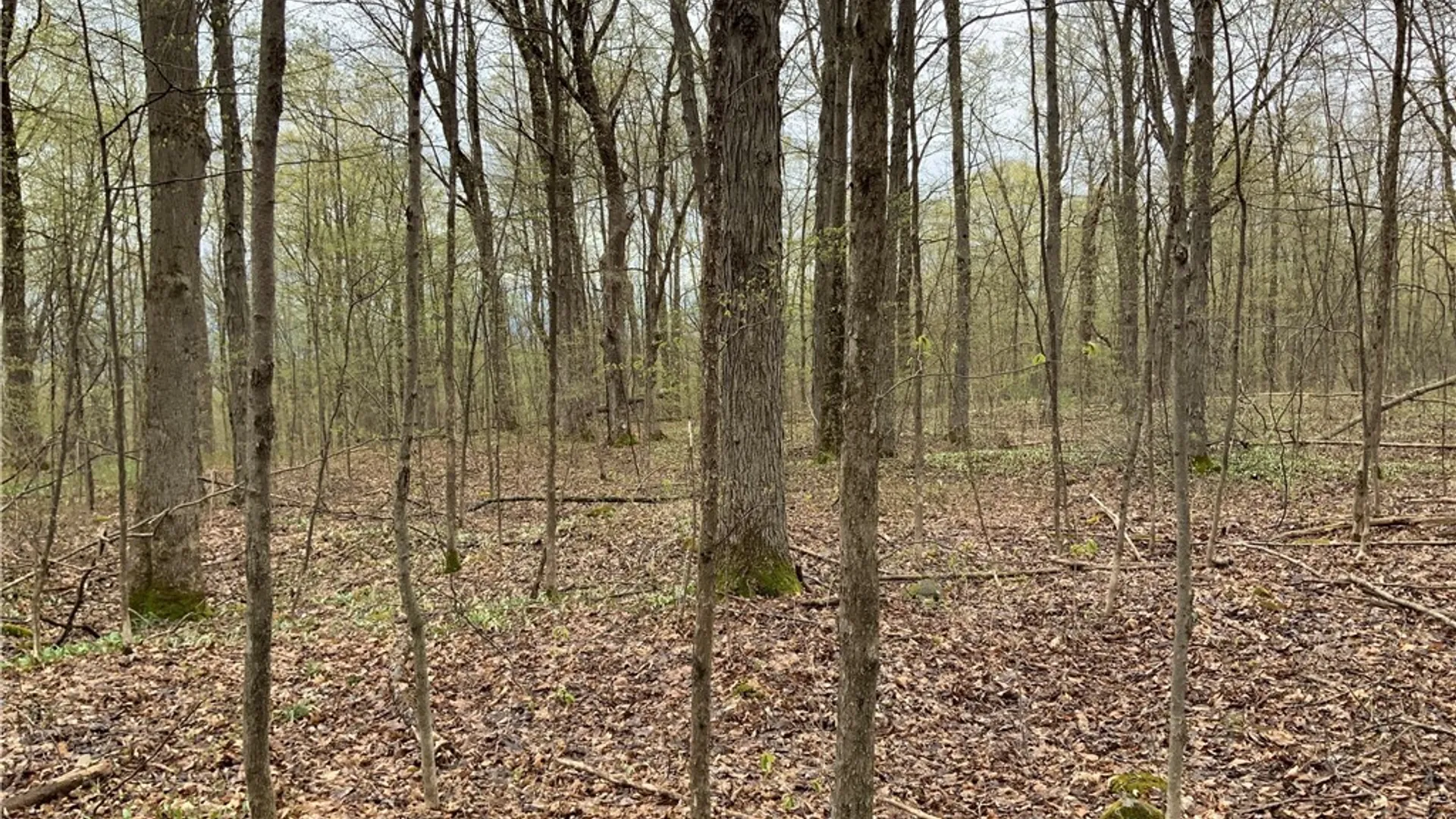 Property at 00 Burrell Road, Ephratah, NY 13452 37