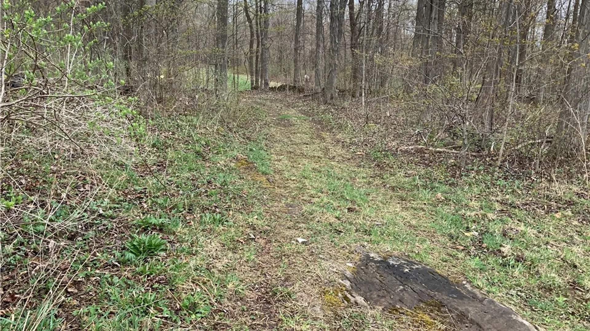 Property at 00 Burrell Road, Ephratah, NY 13452 38