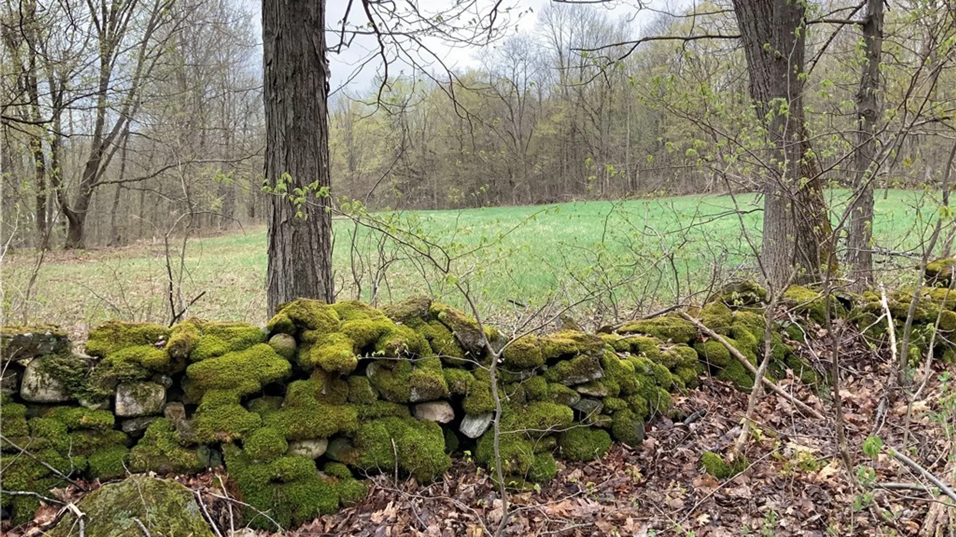 Property at 00 Burrell Road, Ephratah, NY 13452 39