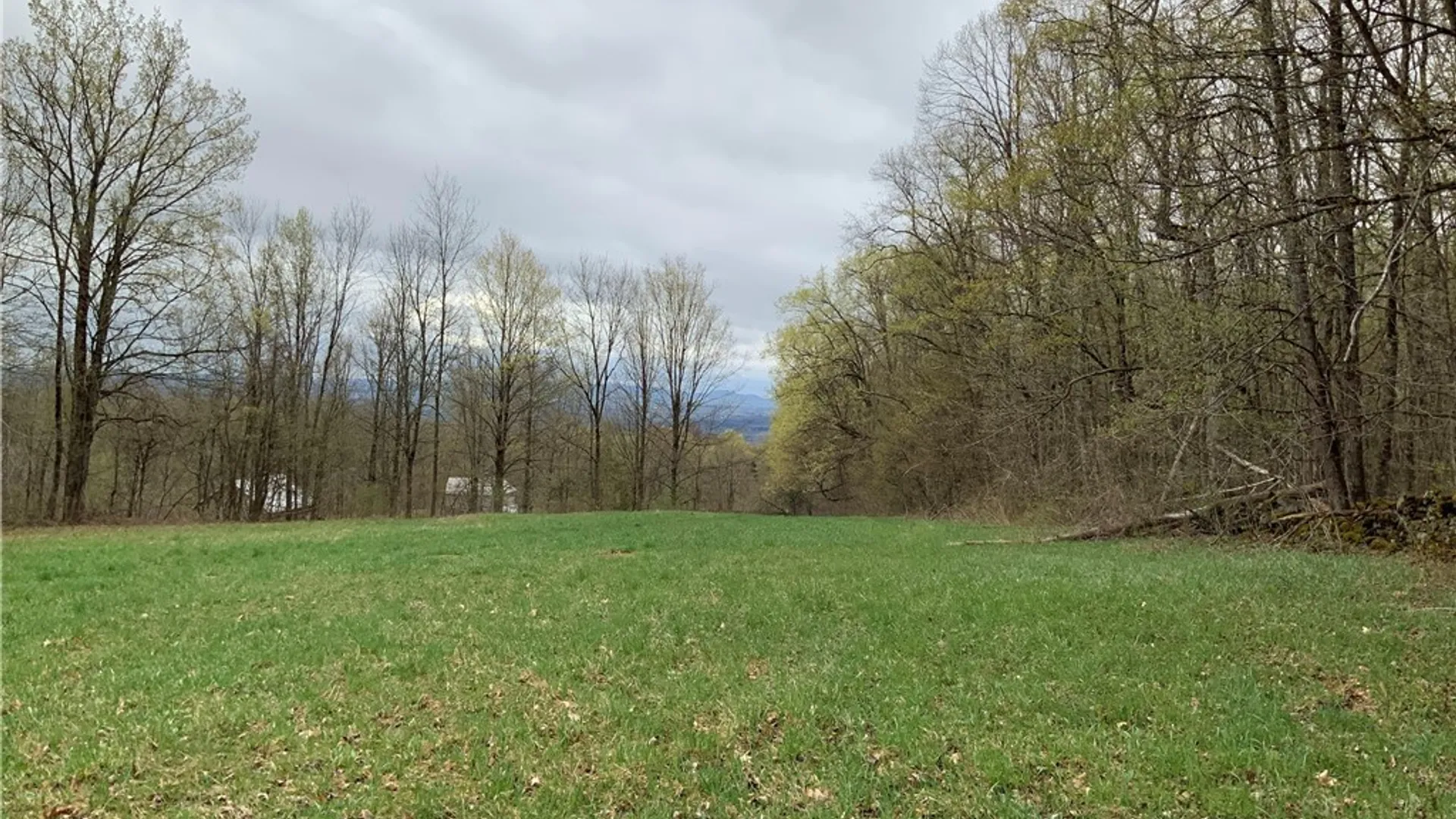 Property at 00 Burrell Road, Ephratah, NY 13452 45