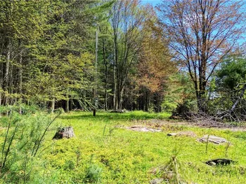 Property at 106 Audobon Lane, Conesville, NY 12076