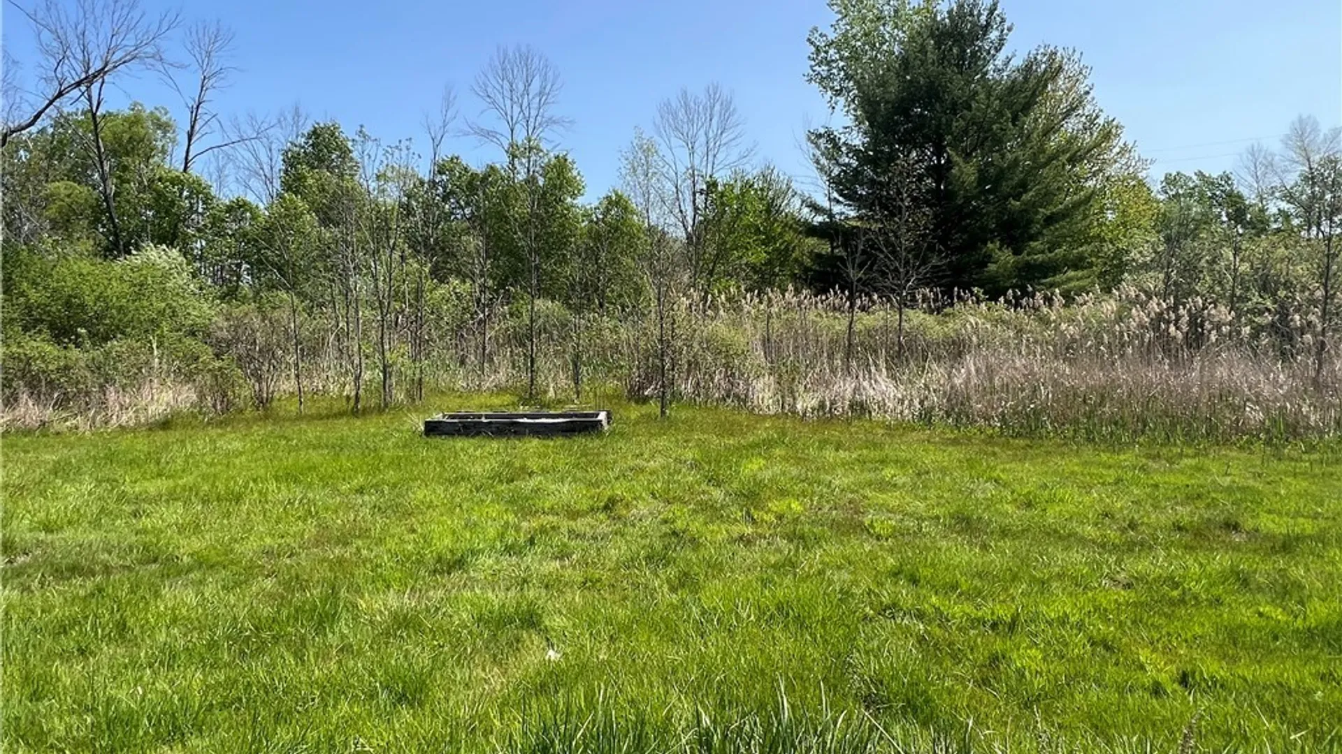 Property at 8894 Caughdenoy Road, Clay, NY 13041 4