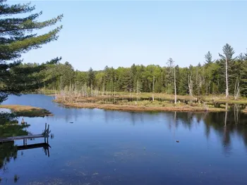 Property at 8440 Stony Lake Road, Watson, NY 13343