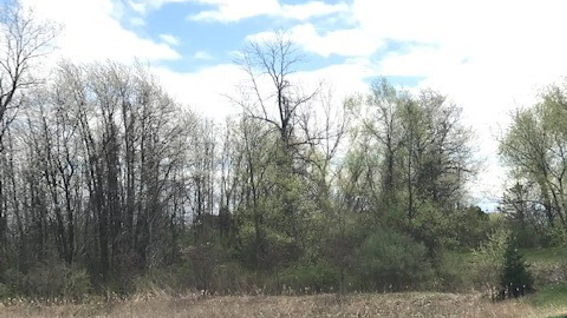 Property at 1386 Hathaway Drive, Farmington, NY 14425 2