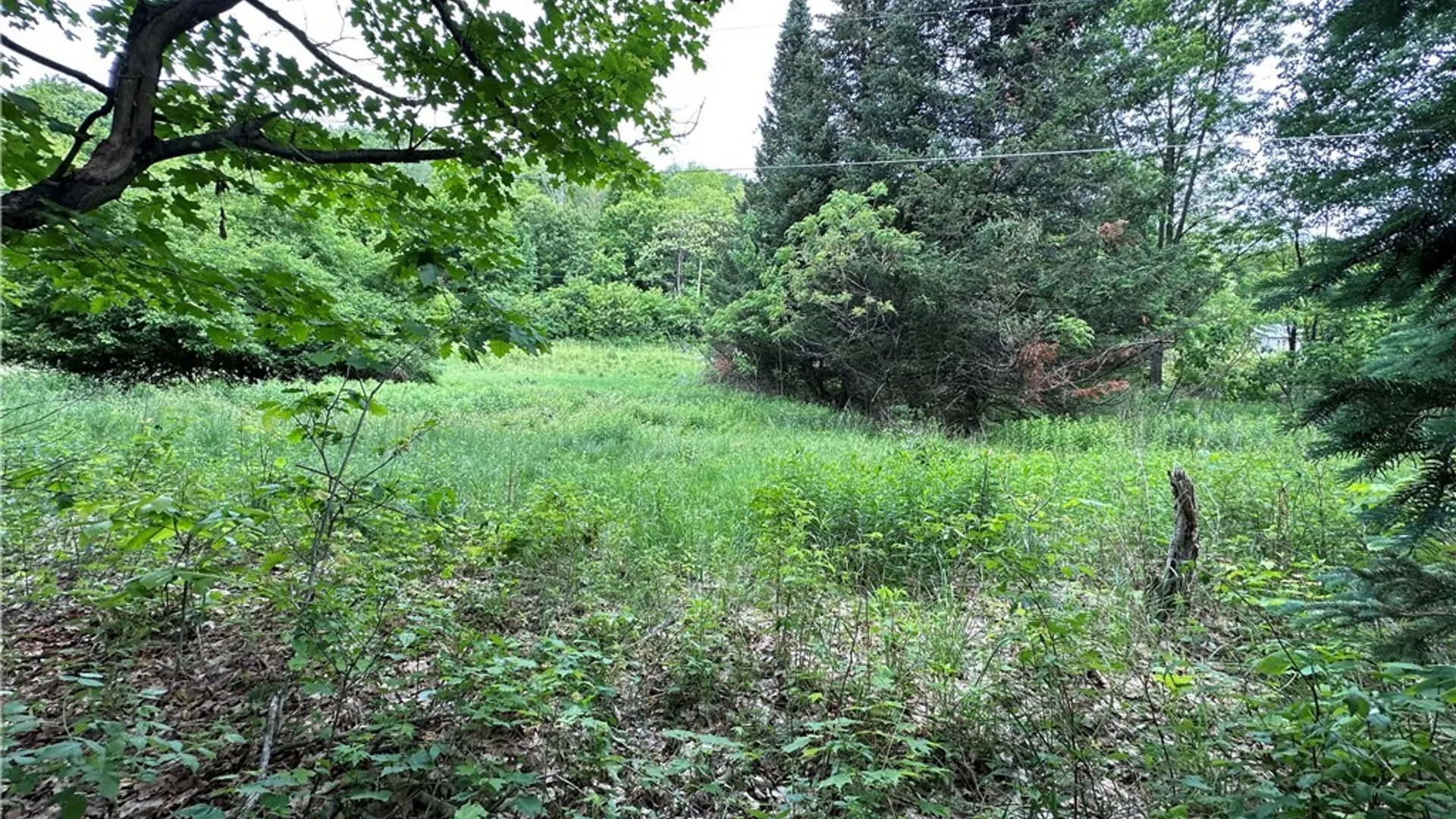 Property at 197 River Road, Fowler, NY 13642 11