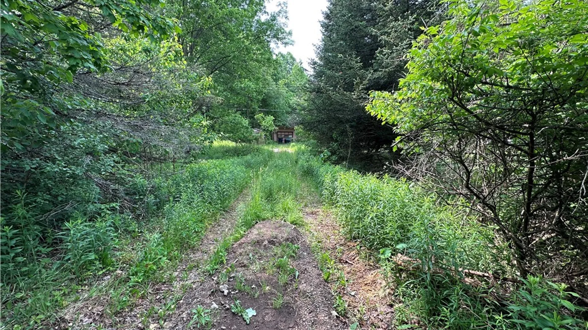 Property at 197 River Road, Fowler, NY 13642 3