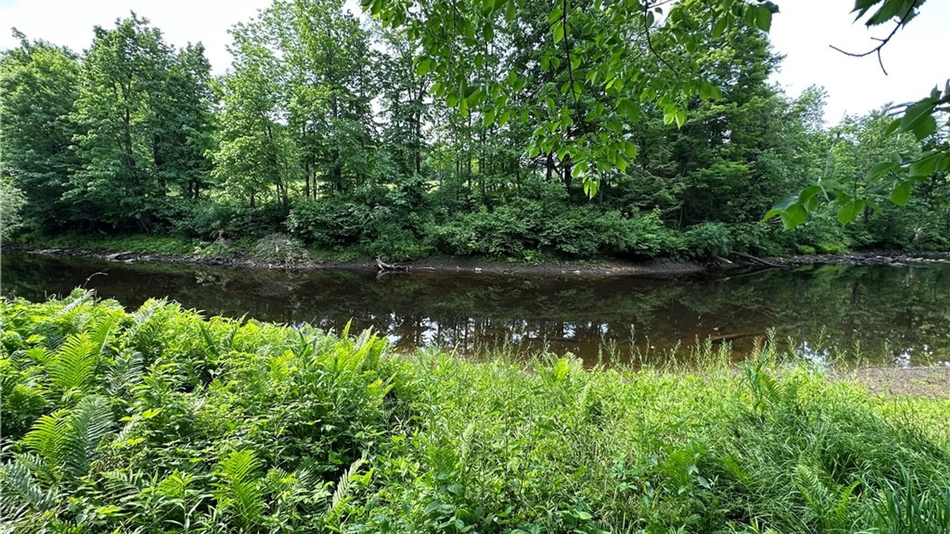 Property at 197 River Road, Fowler, NY 13642 5