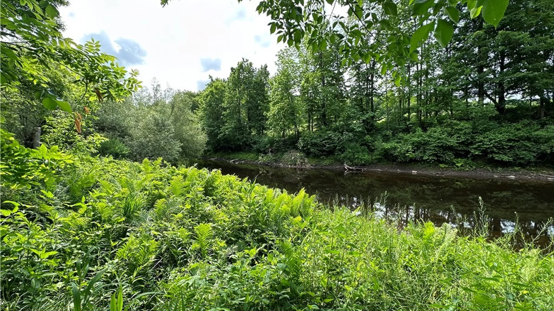 Property at 197 River Road, Fowler, NY 13642 6