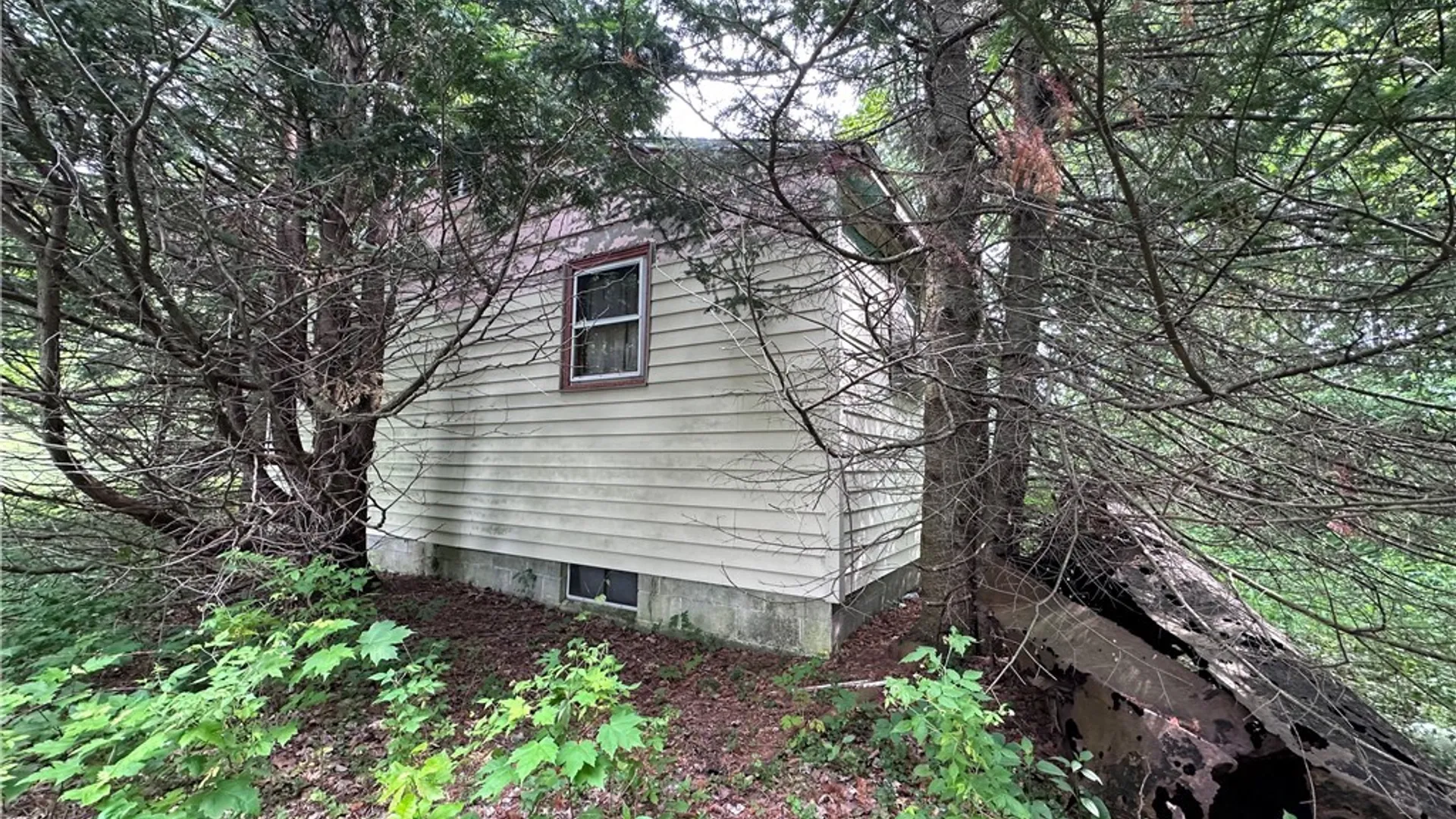 Property at 197 River Road, Fowler, NY 13642 8