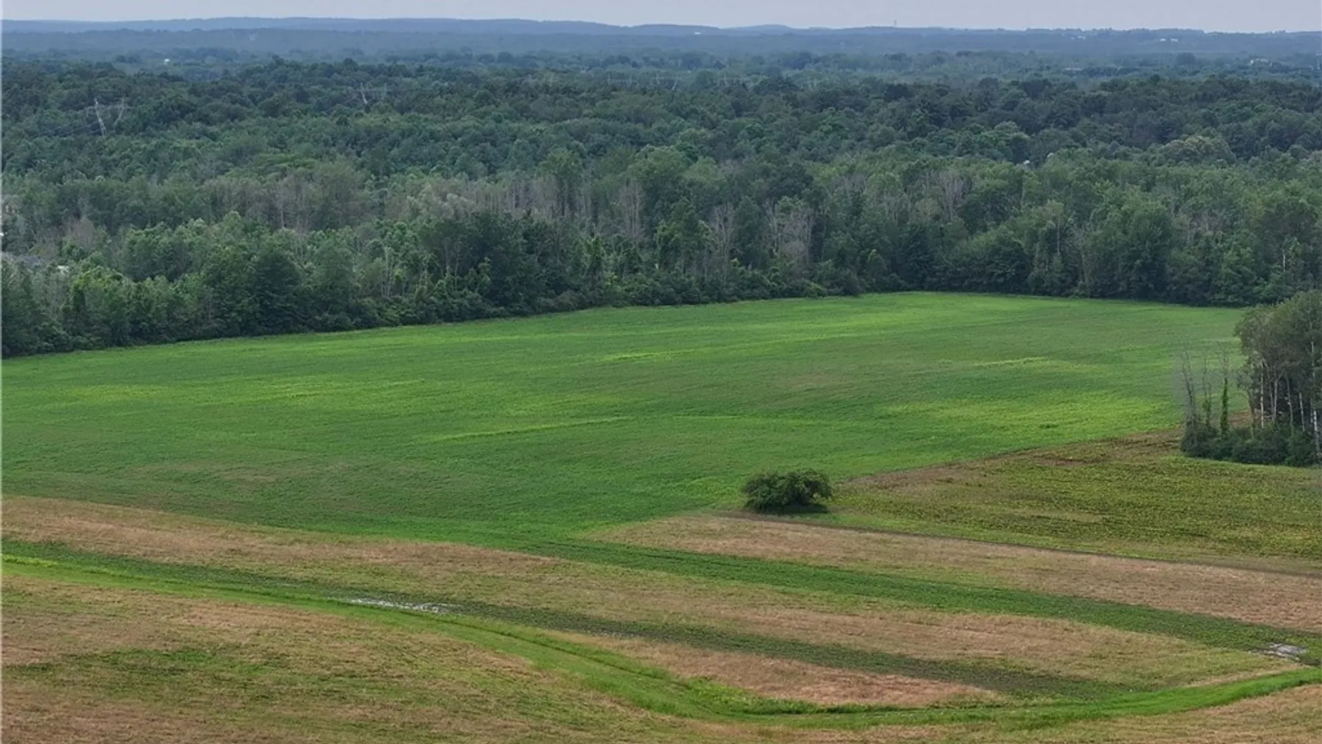 Property at 4885 Verplank Road, Clay, NY 13041 15