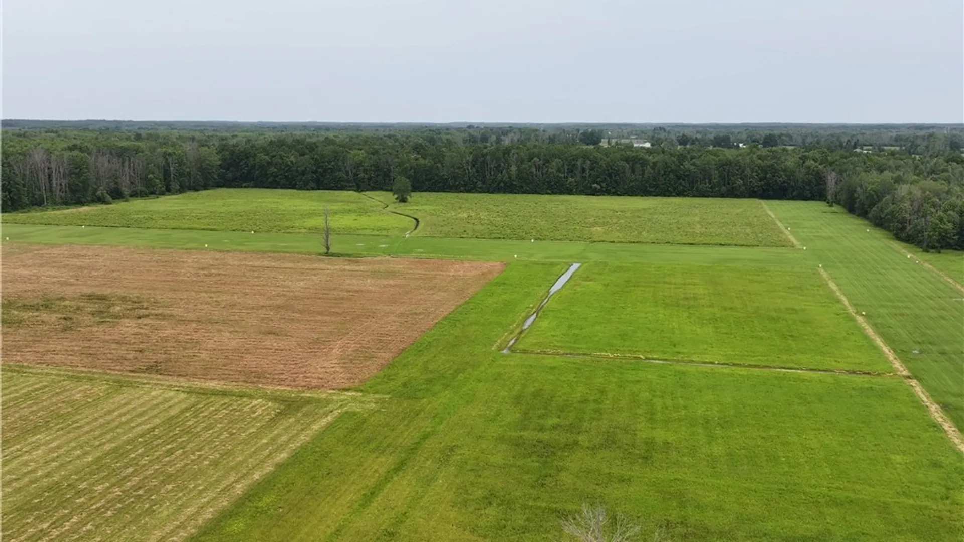 Property at 4885 Verplank Road, Clay, NY 13041 8