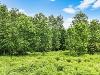 Property at 157 Whitetail Mountain Road, Summit, NY 12175