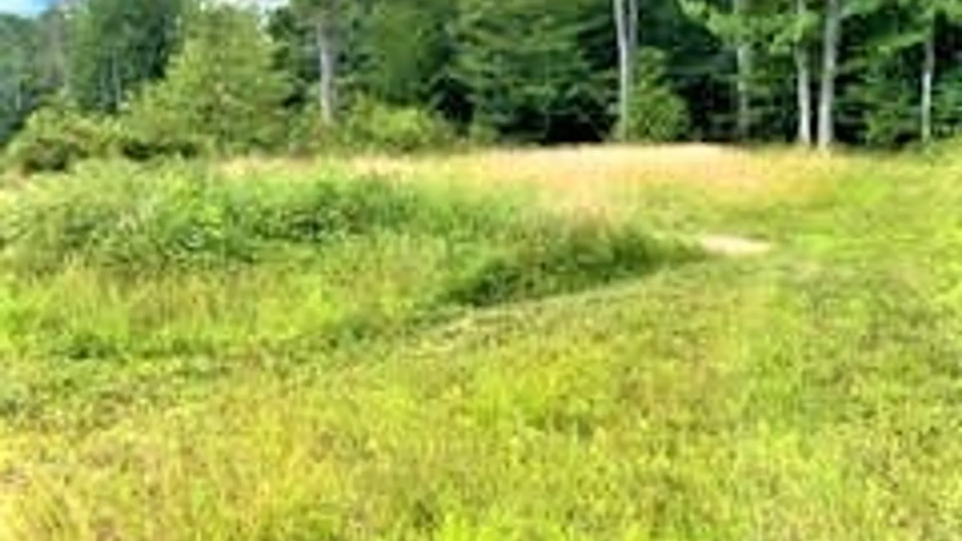 Property at 121 Overswamp Road, Oppenheim, NY 13452 28