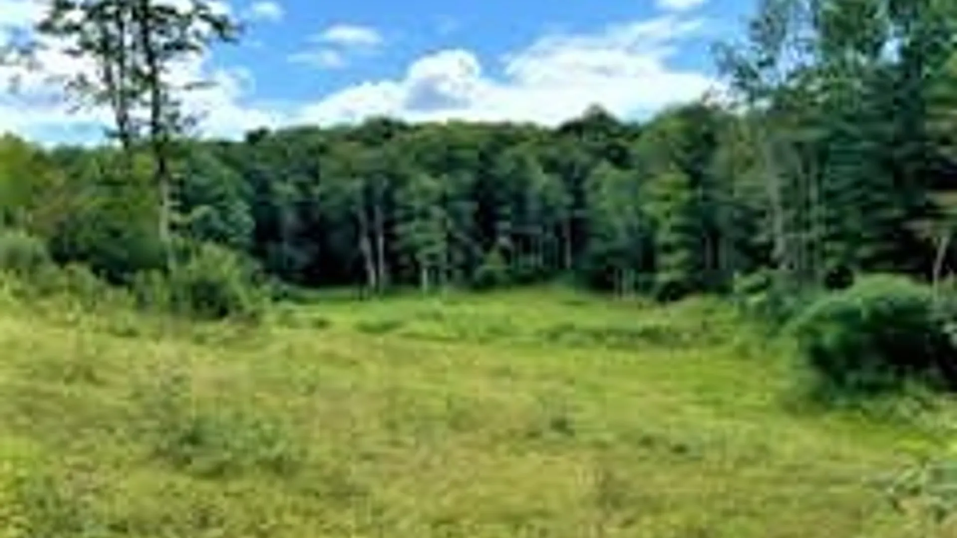 Property at 121 Overswamp Road, Oppenheim, NY 13452 30