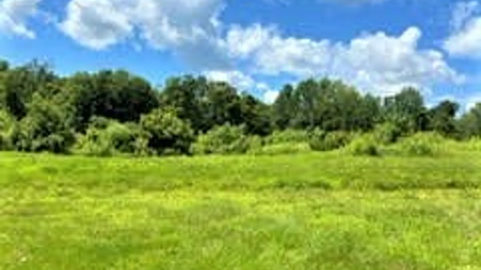 Property at 121 Overswamp Road, Oppenheim, NY 13452 31